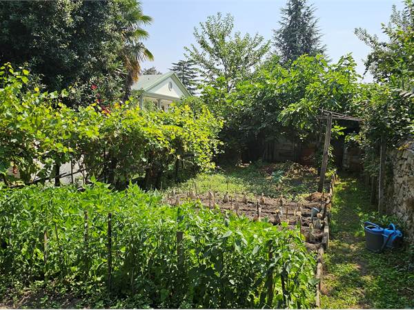 Cumiana centro appartamento con giardino privato