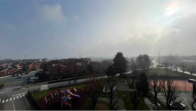 Vista