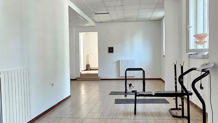 zona palestra