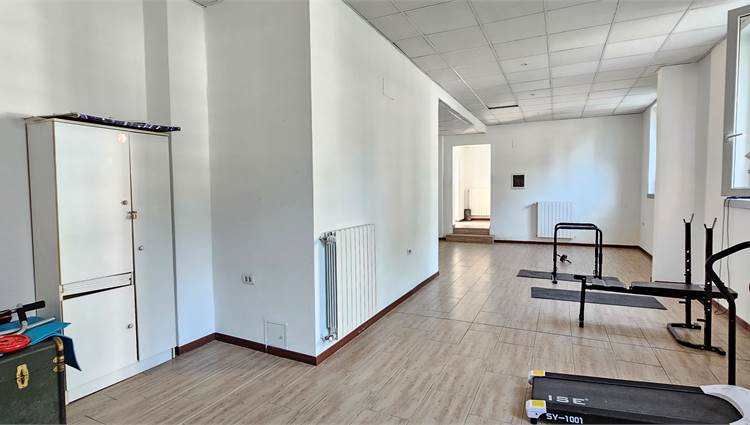 zona palestra