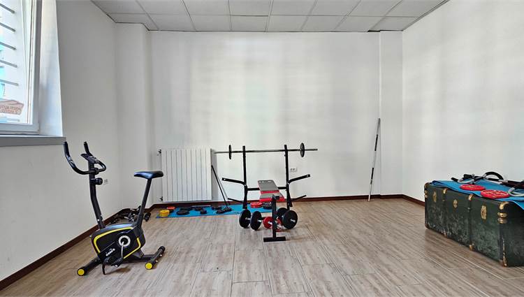 zona palestra