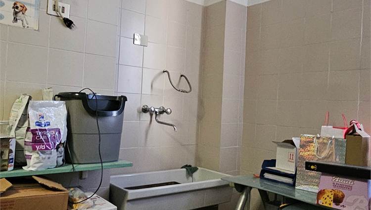 interno