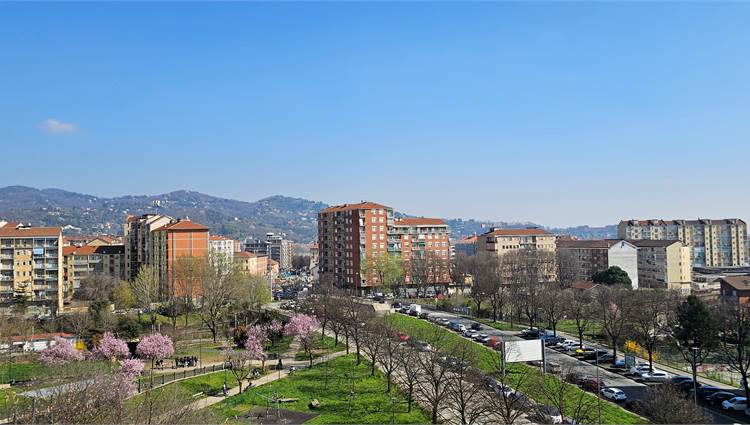 vista