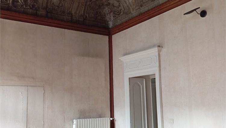 salone