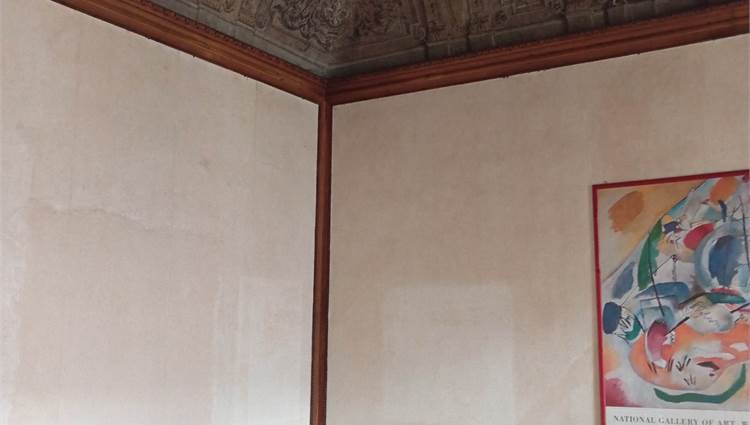 salone