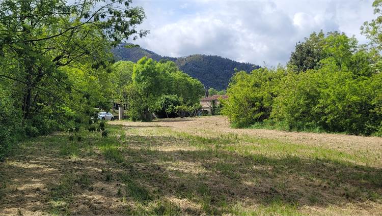 terreno