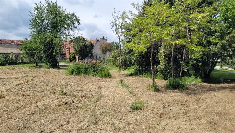 terreno