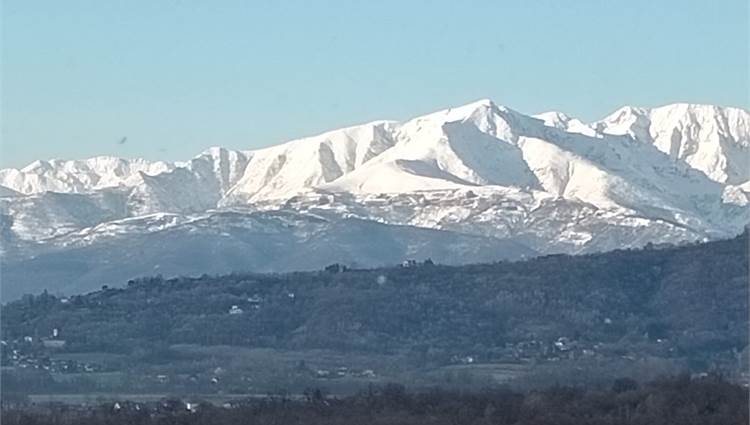VISTA