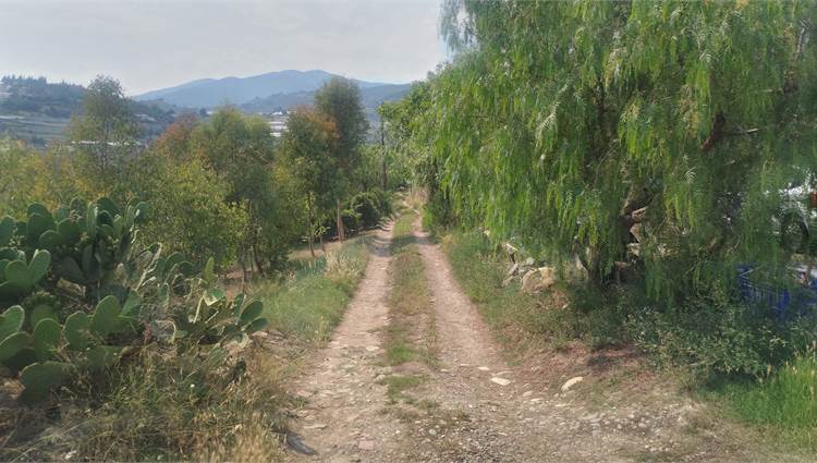 strada privata
