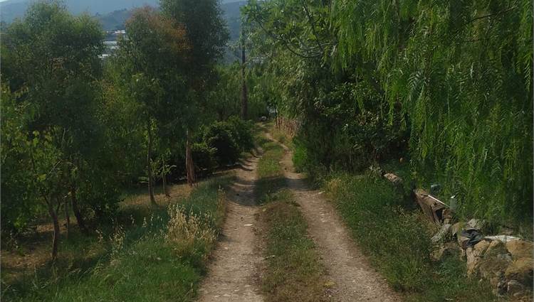 strada privata