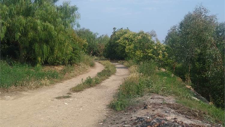 strada privata
