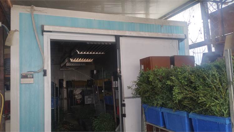 frigorifero industriale