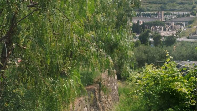 terreno industriale