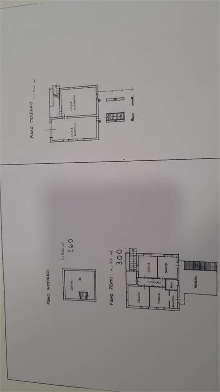 Planimetria 1