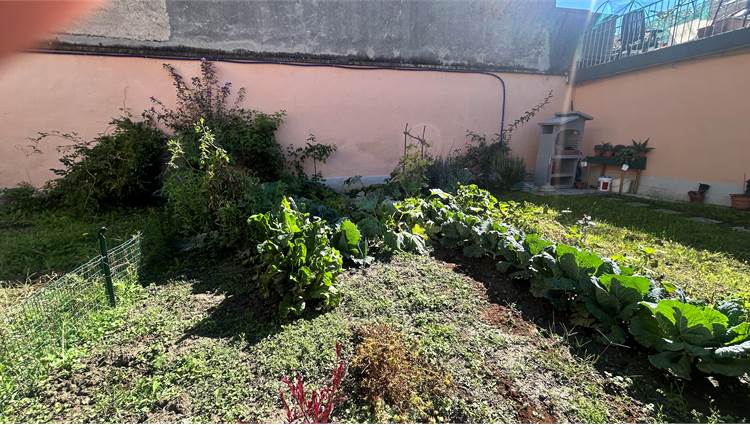 Giardino orto