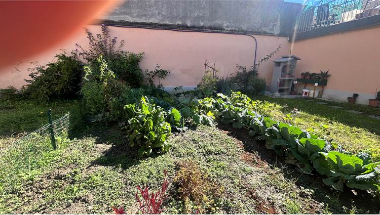 Giardino/orto