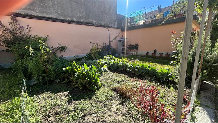Giardino orto