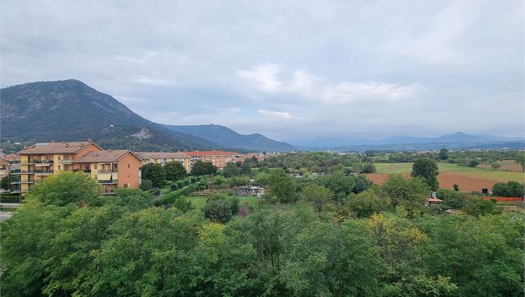 vista