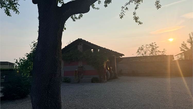 CORTILE
