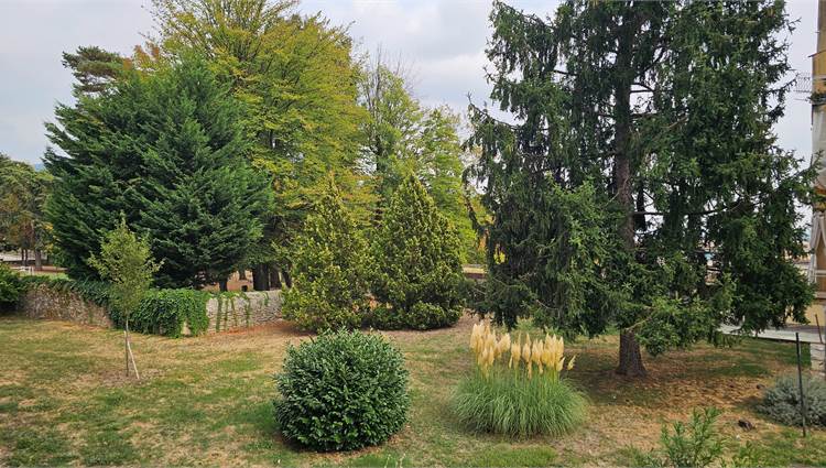 giardino