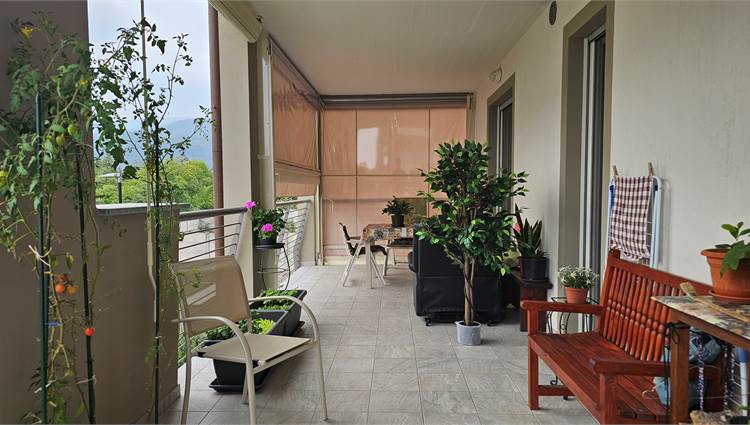 terrazzo