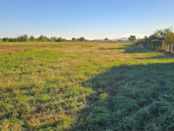 Terreno agricolo ben accessibile e pianeggiante 